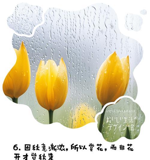 黄花影花语是什么意思？黄花影的寓意是什么？