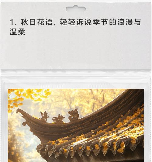 黄花影花语是什么意思？黄花影的寓意是什么？