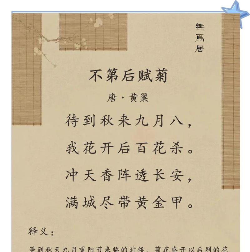 荔枝菊花语代表什么？荔枝菊的象征意义有哪些？