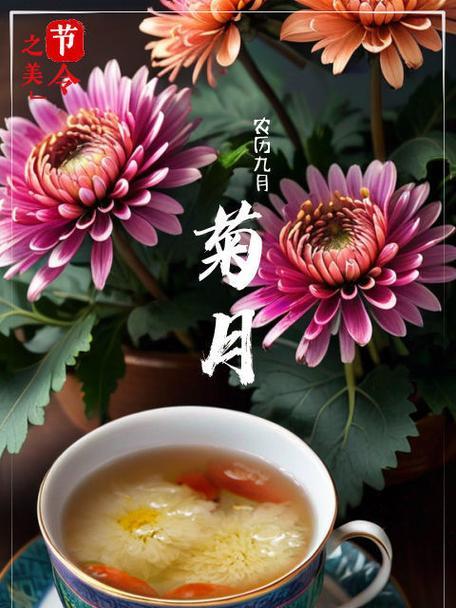 荔枝菊花语代表什么？荔枝菊的象征意义有哪些？