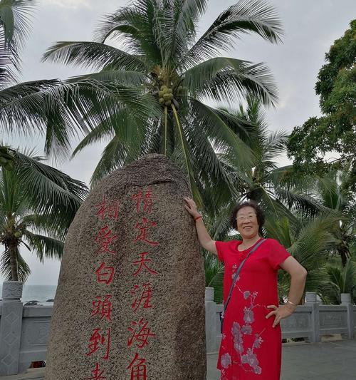 海角菊花语有哪些含义？海角菊的象征意义是什么？