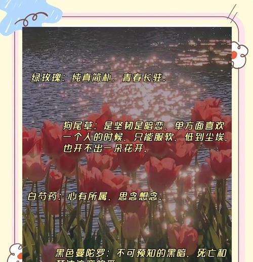 独自的花语是什么意思？独自的花语有哪些特点？