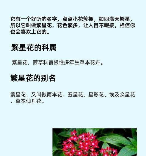 株茜草花语有哪些含义？株茜草的象征意义是什么？
