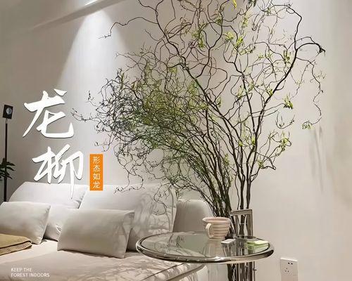 若绿花的花语是什么？若绿花象征着哪些情感？