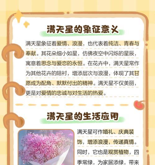 星辰花的花语是什么？星辰花象征着什么？