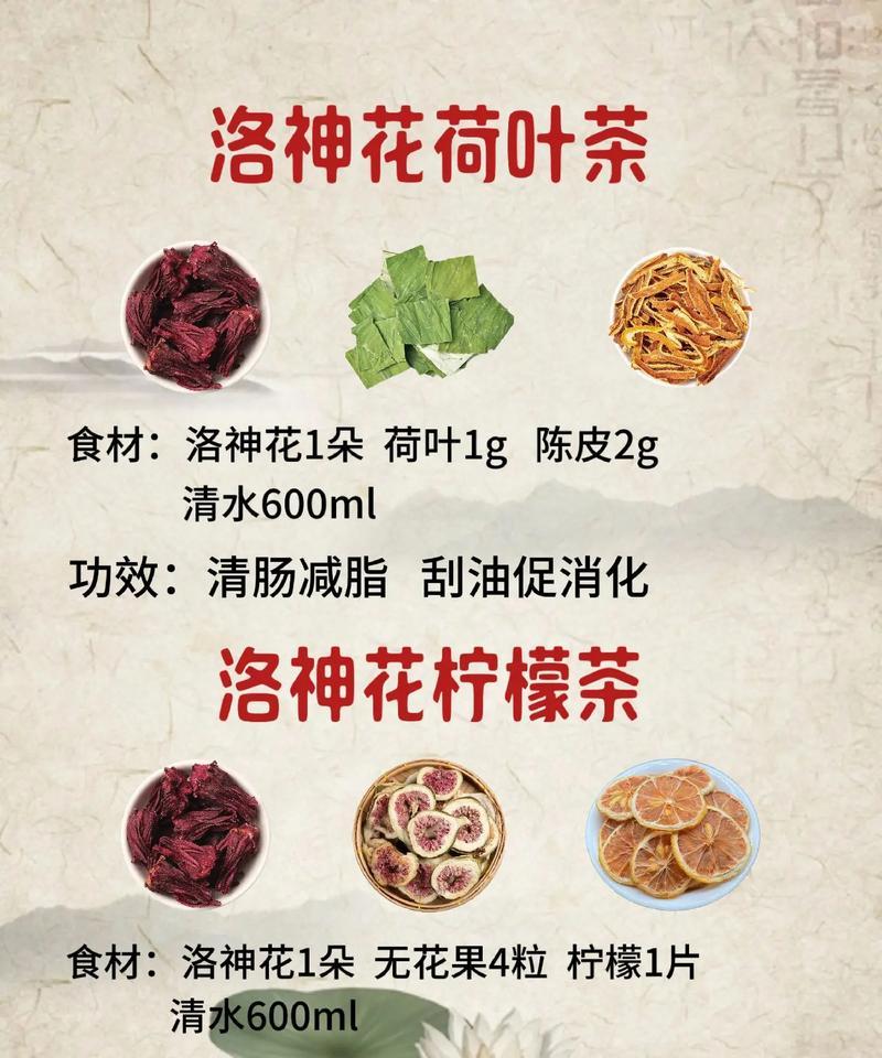 洛神花的花语是什么？洛神花象征着什么？