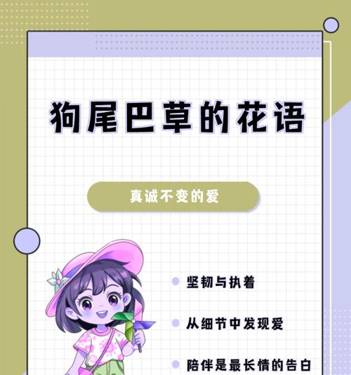 洛阳草花语代表什么？洛阳草的花语有哪些解释？