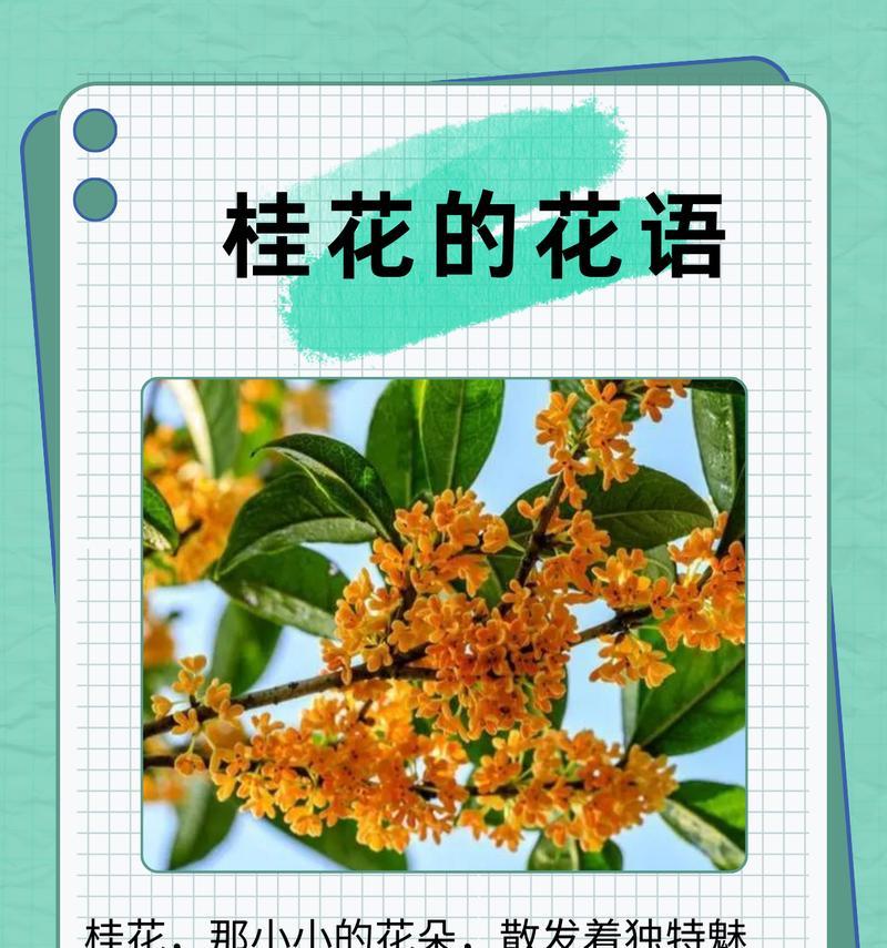 花头的花语是什么意思？花头的花语能传达哪些情感？