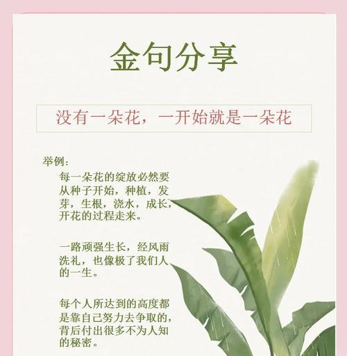 奇迹花花语是什么？奇迹花的花语有哪些深层含义？