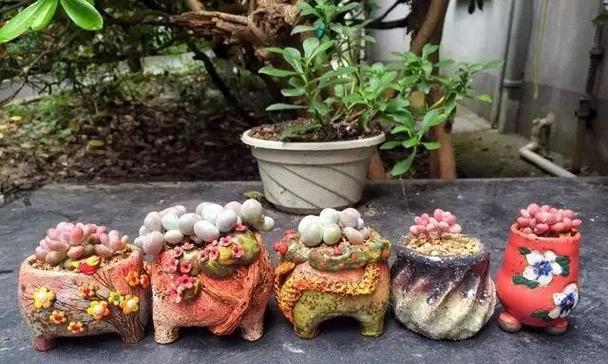 桃蛋花语是什么？如何用它来表达情感？