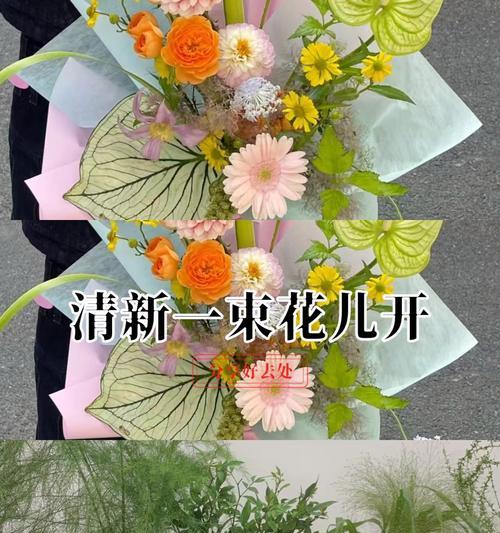 每天送花语如何选择？怎样传达心意？
