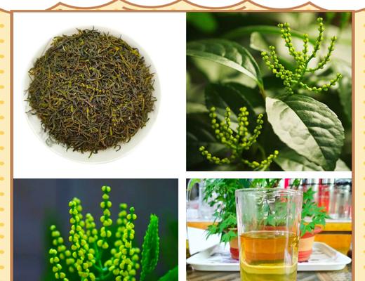 珠兰的花语有哪些含义？如何用珠兰表达爱意？