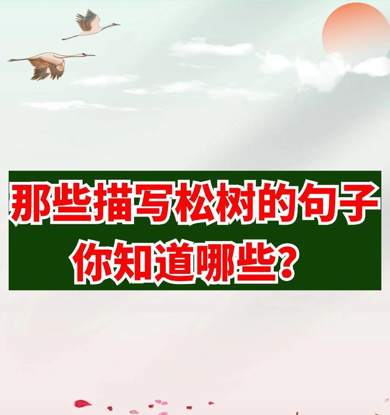 松树花的花语是什么？如何用松树花象征长寿？