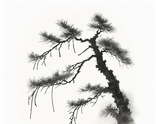 香松树的花语有何寓意？如何用香松树表达爱意？