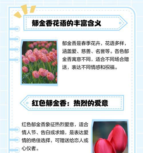 花语的代表是什么？如何用花语表达情感？