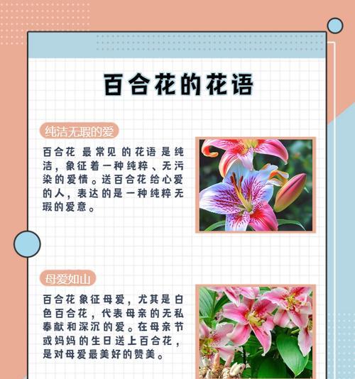 兄弟之间用什么花语来表达情感？