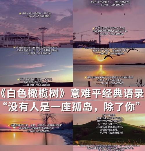 橄榄枝花语有哪些含义？如何传递和平？