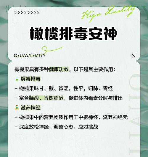 橄榄枝花语有哪些含义？如何传递和平？