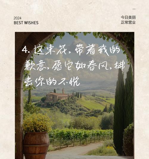 道歉时选择哪种花语最合适？