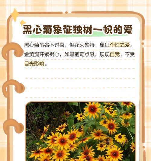 花语中的“名为爱”代表什么？
