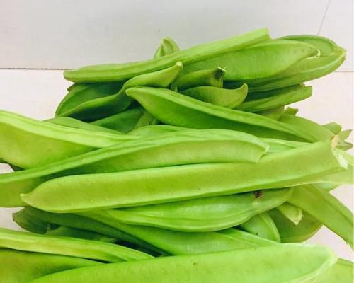 刀豆花语有哪些独特含义？
