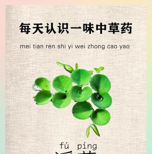 浮萍花的花语有哪些含义？