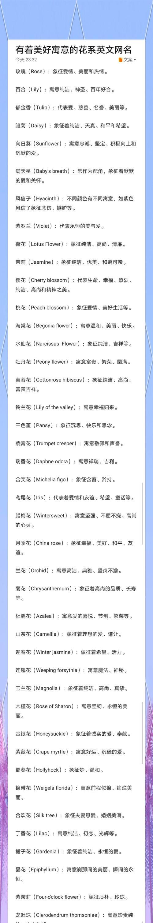 马松子花语能表达什么？