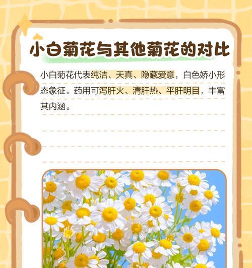 菊花的花语有哪些？如何挑选和养护菊花？