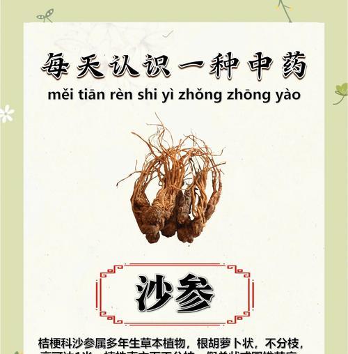 北沙参的花语是什么？北沙参的种植方法是什么？