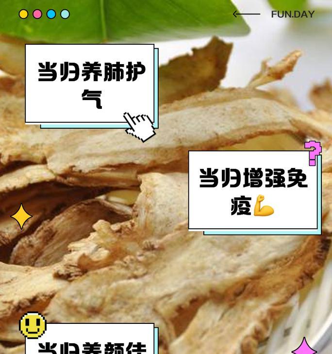 当归的花语有哪些？当归的种植和养护技巧是什么？