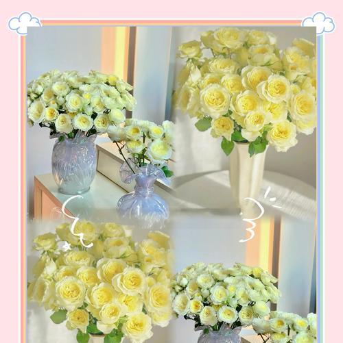 花语怎么养？如何正确理解花语并进行养护？