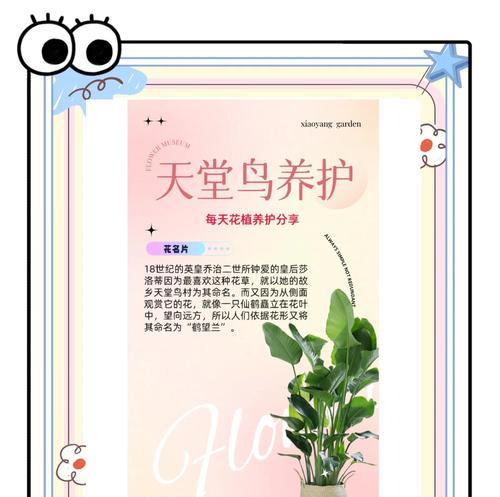 鸟巢花的花语是什么？如何种植和养护鸟巢花？