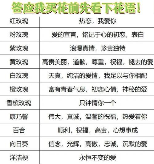 有花语的话如何表达情感？常见问题汇总。