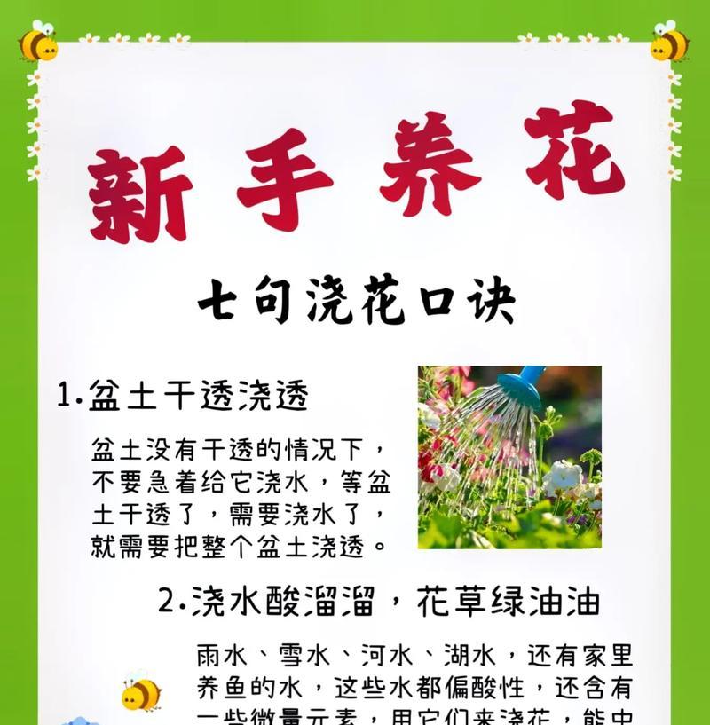 种植花的花语有哪些含义？如何正确理解种植花的花语？