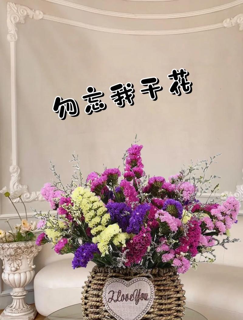 宽恕我花语的含义是什么？宽恕我花的种植技巧有哪些？
