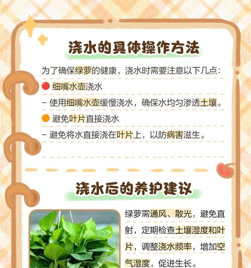 绿萝水插的方法是什么？绿萝水插的注意事项？