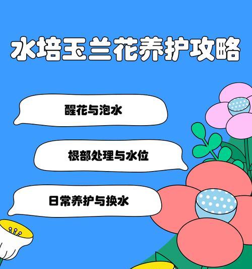 常见的水培植物有哪些？如何进行水培养护？