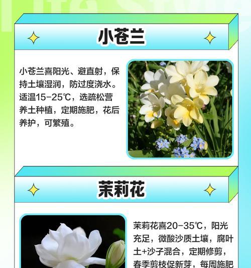 快速促进花卉生长的方法是什么？