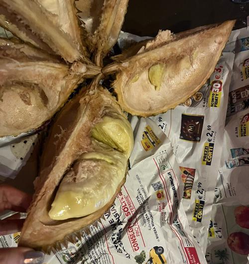 米兰受冻后如何进行抢救？