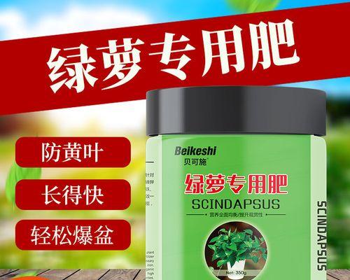 盆景养护通常需要哪种肥料？