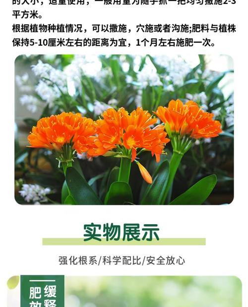 盆景养护通常需要哪种肥料？