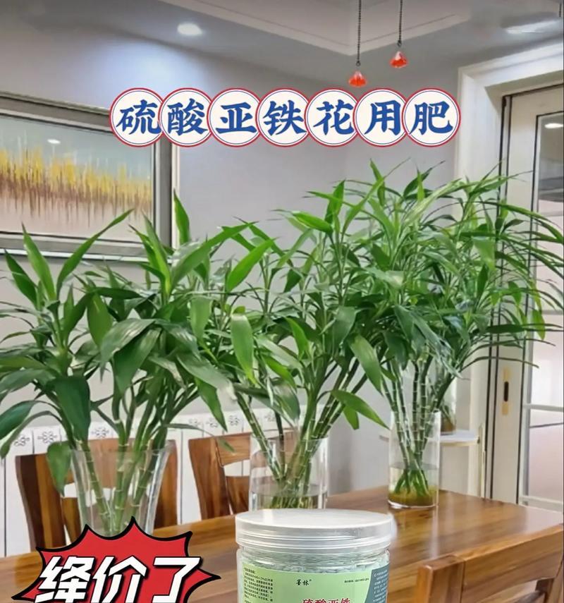 花卉施肥时应选择哪种肥料？