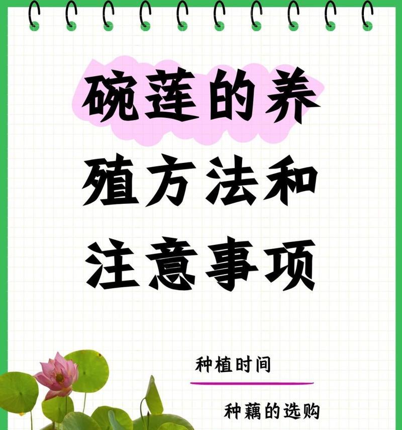 碗莲的正确养殖方法是什么？