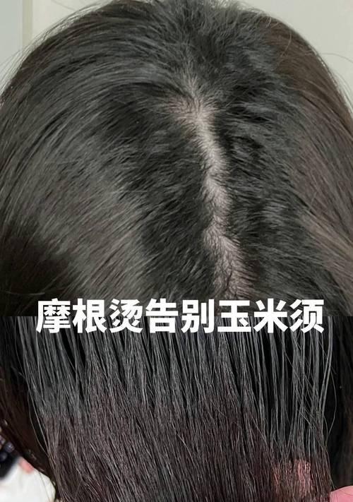 兰花发根困难怎么办？有效发根技巧有哪些？