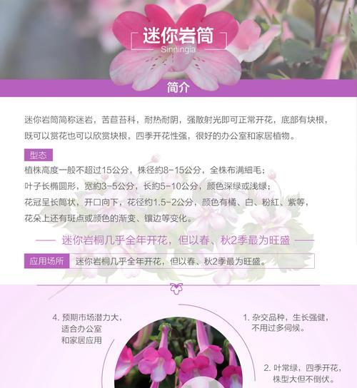 大岩桐枯萎了怎么办？如何处理和预防？