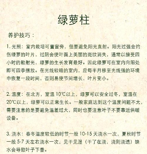 水培绿萝的正确固定方法是什么？如何确保其稳定生长？