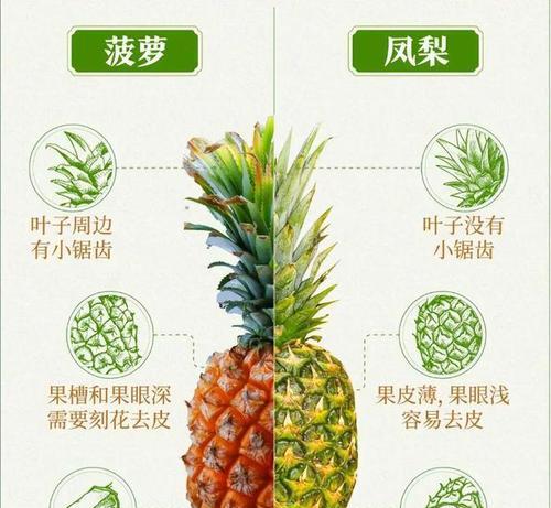 凤梨有哪些品种？不同品种的凤梨特点是什么？