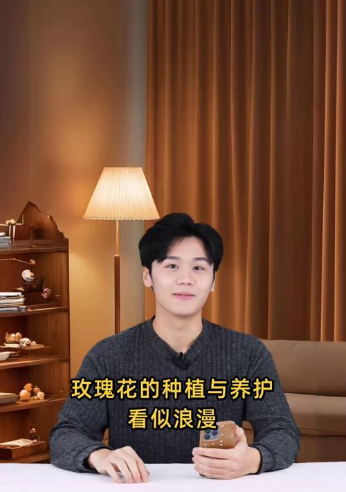 玫瑰花种植需要注意哪些事项？