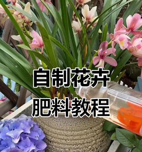 自制花肥的步骤是什么？如何制作出适合各种植物的花肥？
