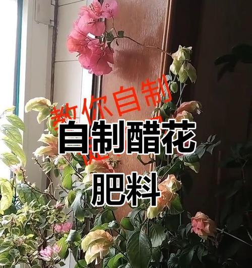 自制花肥的步骤是什么？如何制作出适合各种植物的花肥？